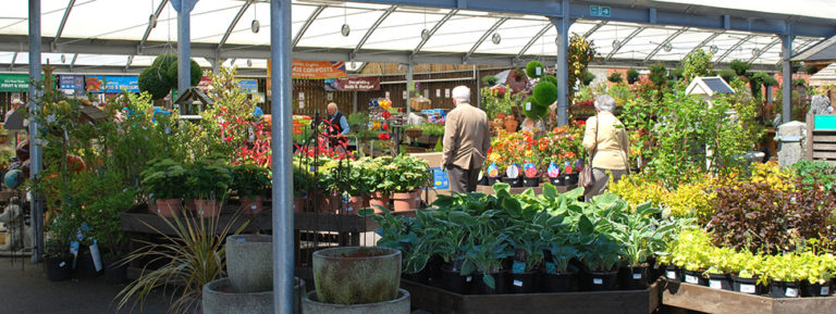 Coed-y-Dinas - Charlies | Garden Centre Welshpool